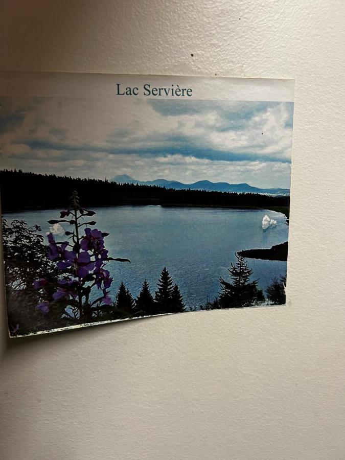 Super-Besse Residence Le Lac Bleu Serviere Chez Lorenzo Et Severine Exterior photo